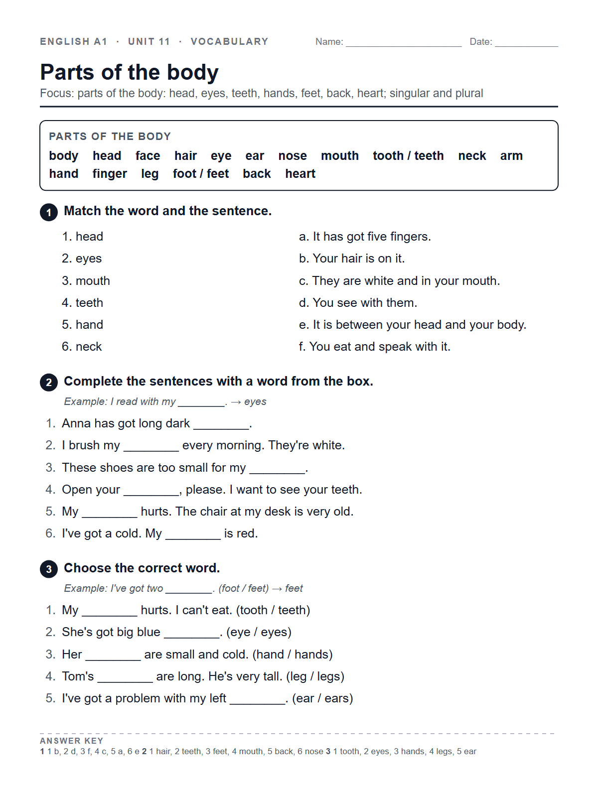 Parts of the body — printable worksheet