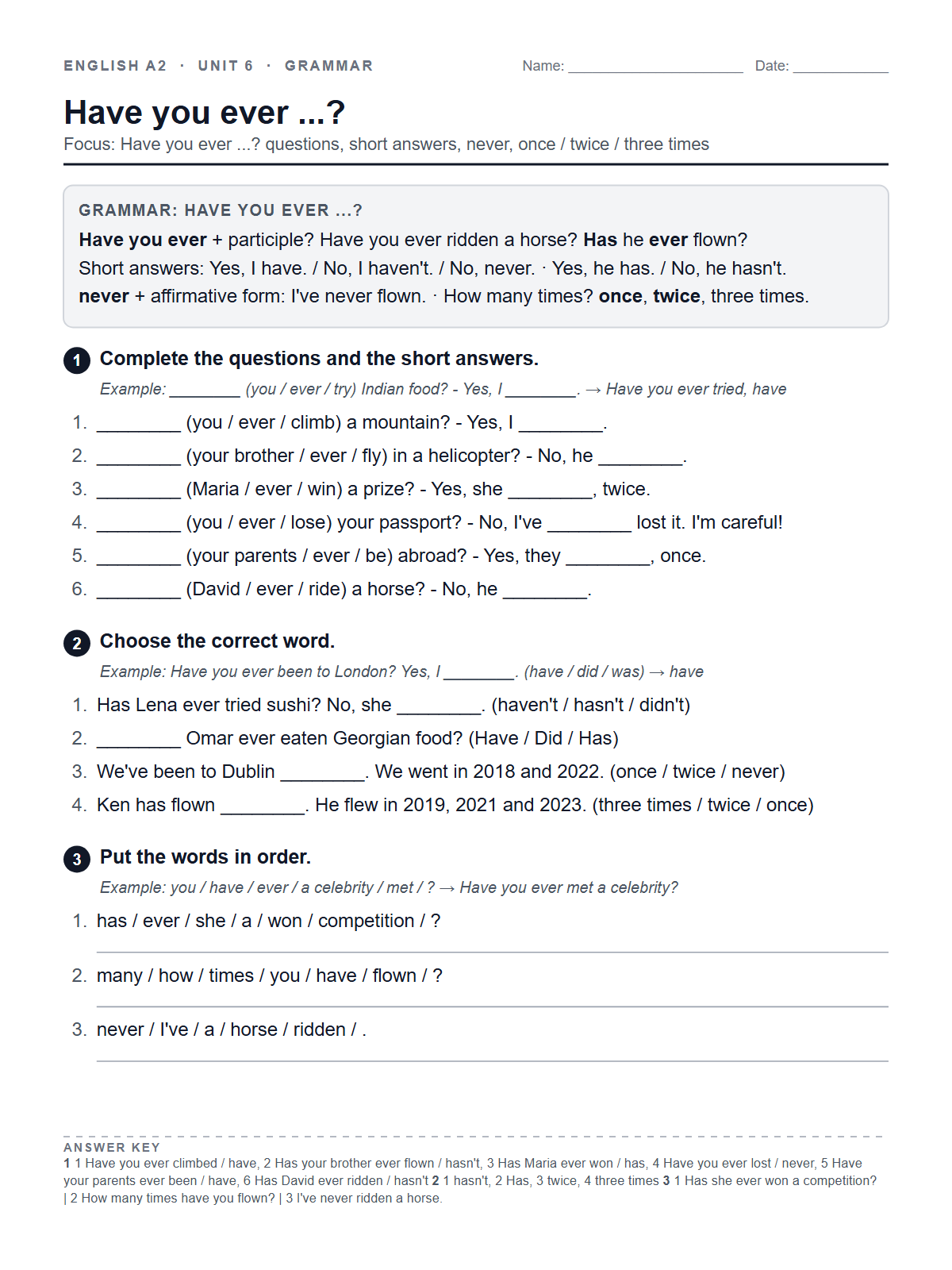 Have you ever ...? — printable worksheet
