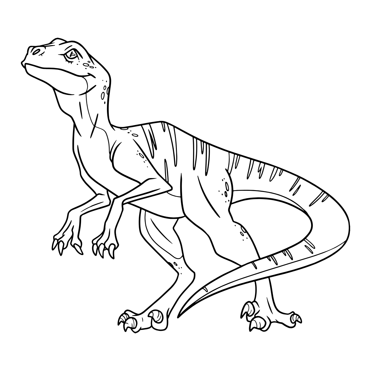 Striped Raptor — printable coloring page